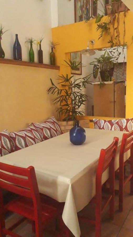 Pousada Flor Amarela Balneário Camboriú Zewnętrze zdjęcie